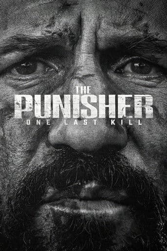 The Punisher: One Last Kill